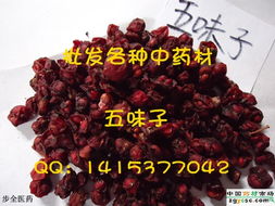 傳承千年的本草智慧 信業(yè)中藥材中草藥供應(yīng)鏈解析