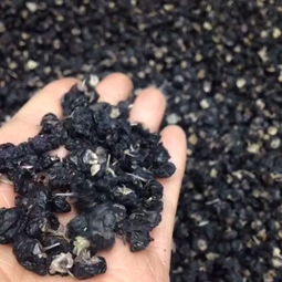 頂級(jí)柴達(dá)木盆地特大精品黑枸杞 天龍中藥行的自然饋贈(zèng)