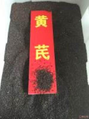黃芪種植技術(shù)全解析 季節(jié)選擇、種子價(jià)格與畝產(chǎn)量指南