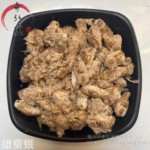 中藥材蠶蛾（雄蠶蛾）的市場(chǎng)價(jià)格與行情分析